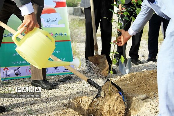آئین کاشت 1500 اصله نهال در هرمزگان