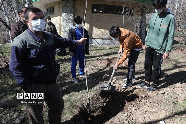 آیین روز درختکاری در اردوگاه شهید باهنر تهران