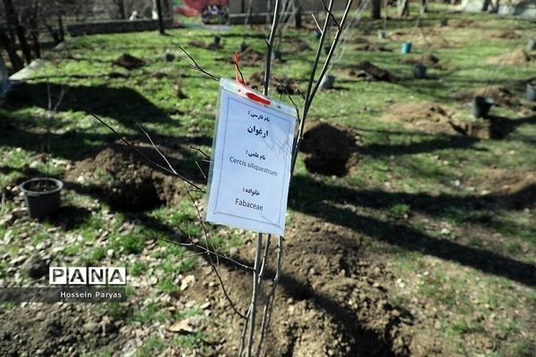 آیین روز درختکاری در اردوگاه شهید باهنر تهران