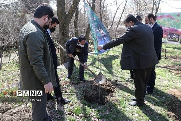 آیین روز درختکاری در اردوگاه شهید باهنر تهران