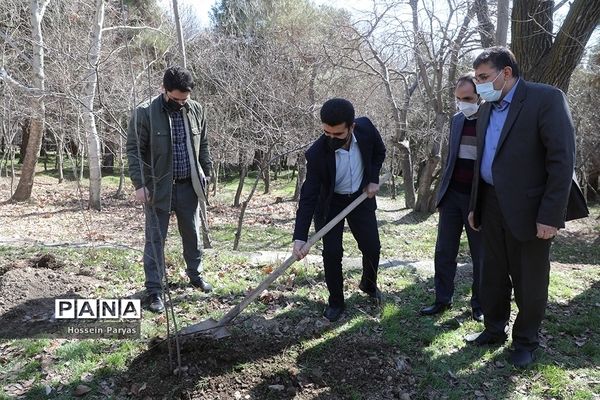 آیین روز درختکاری در اردوگاه شهید باهنر تهران