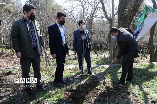 آیین روز درختکاری در اردوگاه شهید باهنر تهران