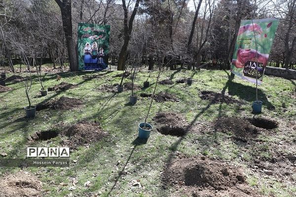 آیین روز درختکاری در اردوگاه شهید باهنر تهران