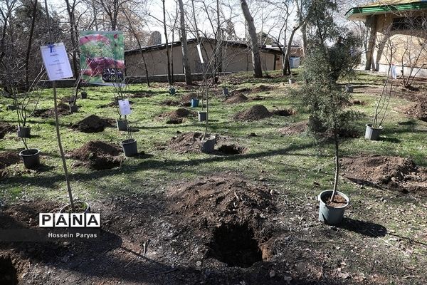 آیین روز درختکاری در اردوگاه شهید باهنر تهران