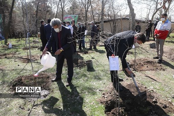 آیین روز درختکاری در اردوگاه شهید باهنر تهران