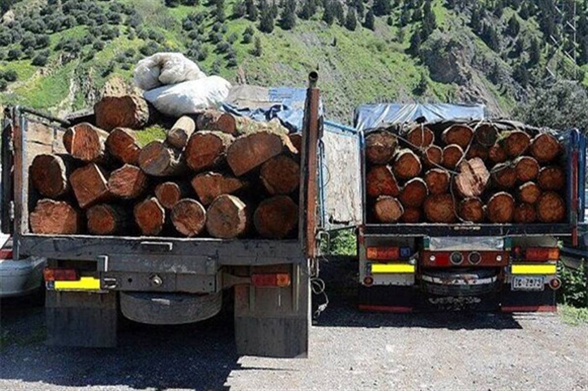 ۳۶ تن چوب بلوط قاچاق و ۱۱۳۵ تن زغال در اصفهان کشف و ضبط شد