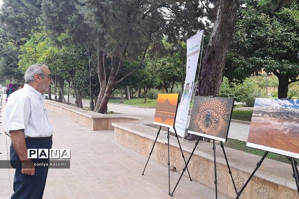 نمایشگاه عکس خیابانی در ساری