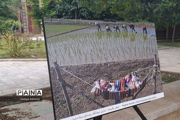 نمایشگاه عکس خیابانی در ساری