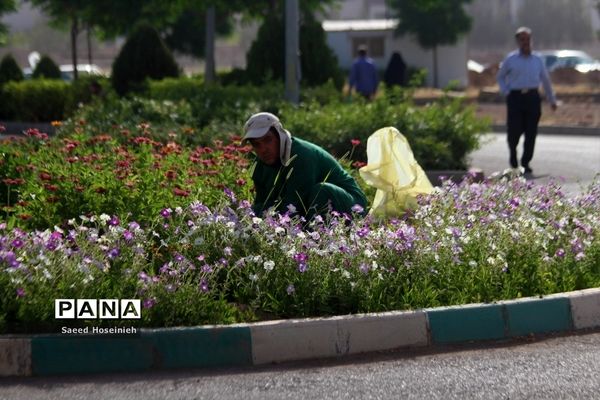 رقابت دانش‌آموزان در کنکور سراسری رشته تجربی در قم-3