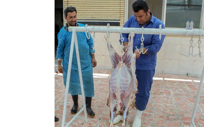 نیروهای کشتارگاه تبریز برای ذبح گوسفند در روز عید قربان در سطح شهر مستقر می‌شوند