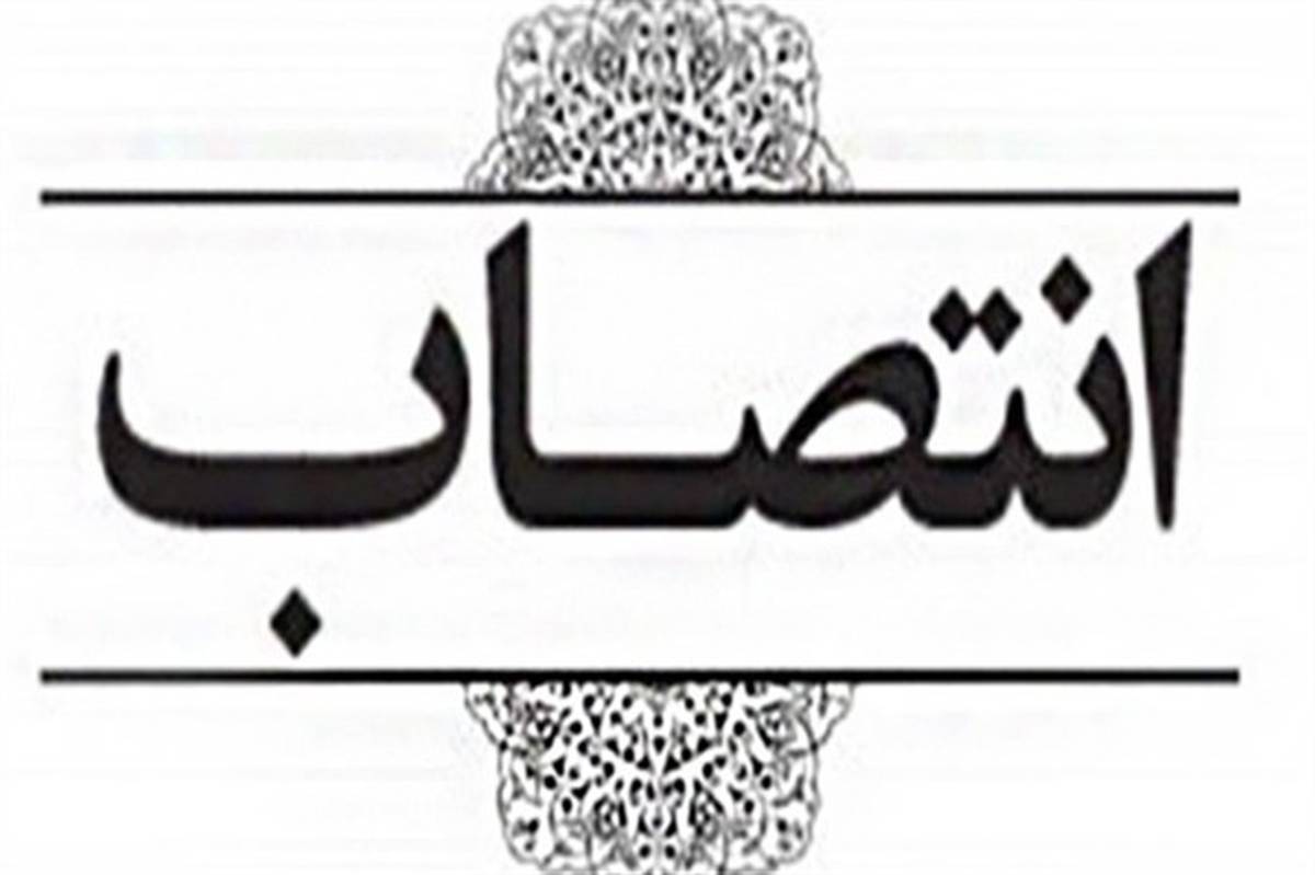 علی محمدی، مدیرکل امور اداری و پشتیبانی سازمان پژوهش شد