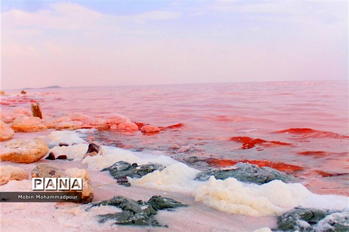 موافقت مجلس با ‌تحقیق و تفحص از عملکرد ستاد دریاچه ارومیه