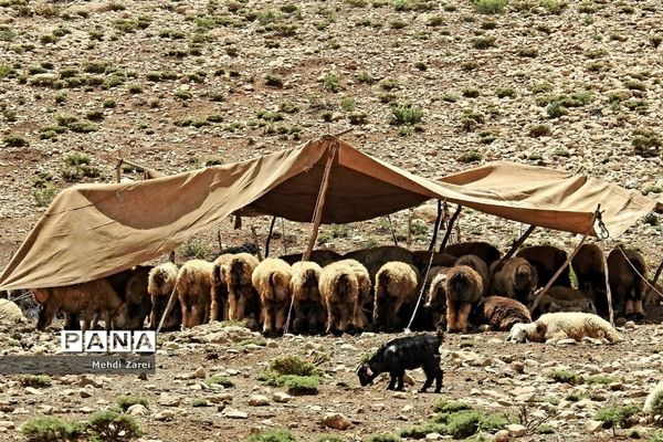 زیبایی‌های چلگرد و کوهرنگ