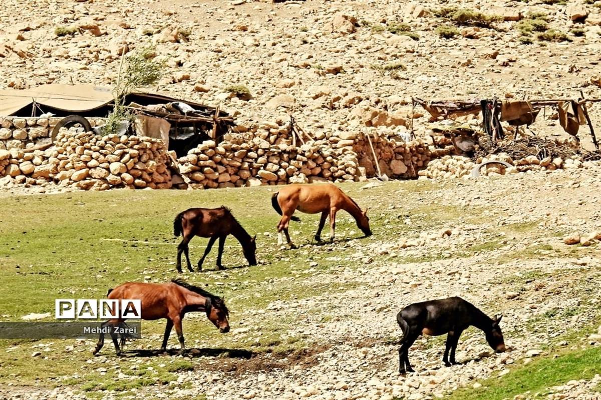 زیبایی‌های چلگرد و کوهرنگ