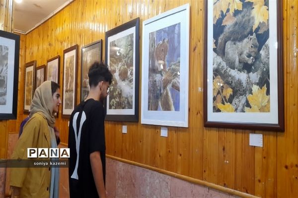 نمایشگاه هنرهای تجسمی در ساری