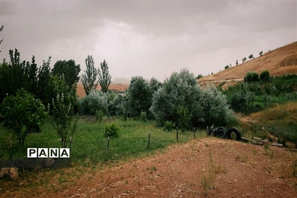 طبیعت تابستانی روستای دره بید شهرستان کوهرنگ