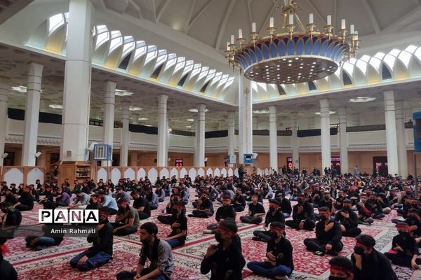 عزاداری دانش آموزان نسل قاسم در حرم شاهچراغ (ع)