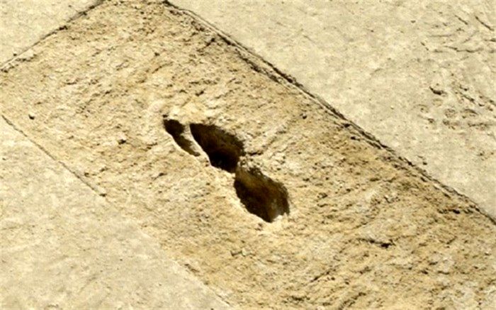 کشف ردپاهای عجیب ۱۰ هزار ساله در صحرای یوتا