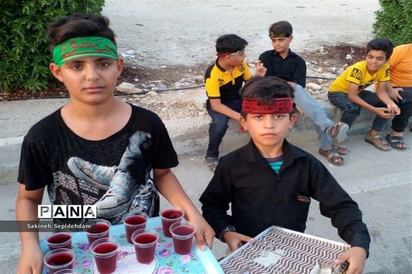 ایستگاه صلواتی حضرت قاسم ابن الحسن به همت دانش‌آموزان شهر اشکنان