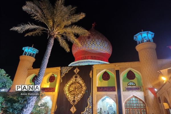 برگزاری مراسم عزاداری در حرم مطهر علی ابن حمزه (ع)