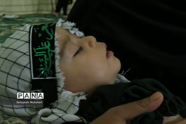همایش شیرخوارگان حسینی در داراب