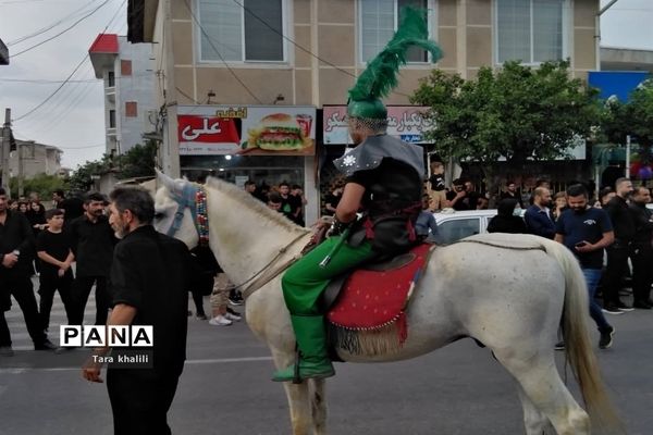 دسته‌روی هیات کرب زنان خلیل شهر در روز تاسوعای حسینی