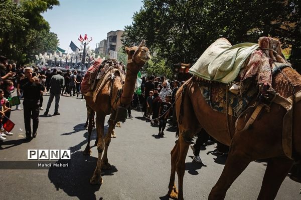 عزاداران حسینی در ظهر عاشورا