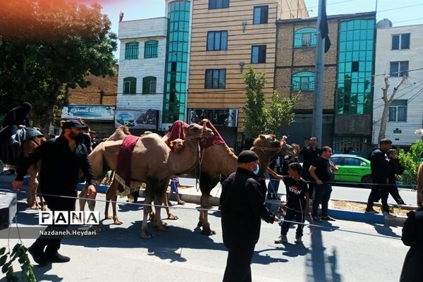 مراسم عزاداری عاشورای حسینی در شهرستان بهارستان