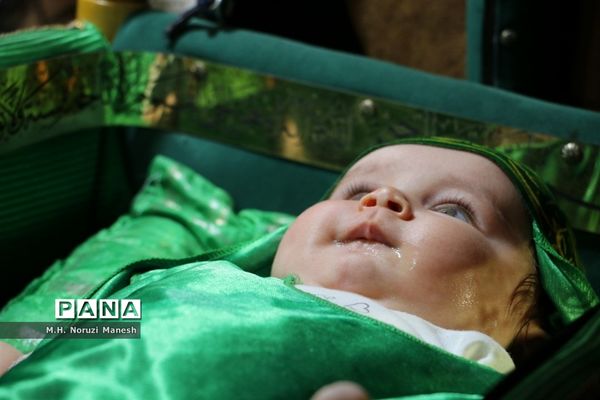 کاروان نمادین اسرای کربلا در قم