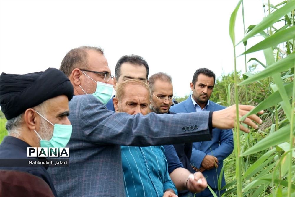 بازدید فرماندار میاندورود از کشتارگاه سیمین ناز