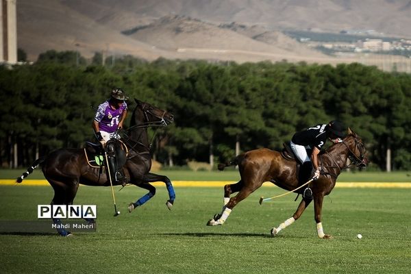 مسابقه چوگان آقایان جام مالکین