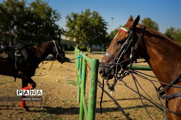 مسابقه چوگان آقایان جام مالکین