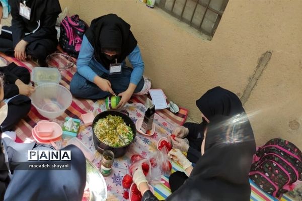برگزاری اردوی دختران عضو سازمان دانش‌آموزی ناحیه ۴ شیراز