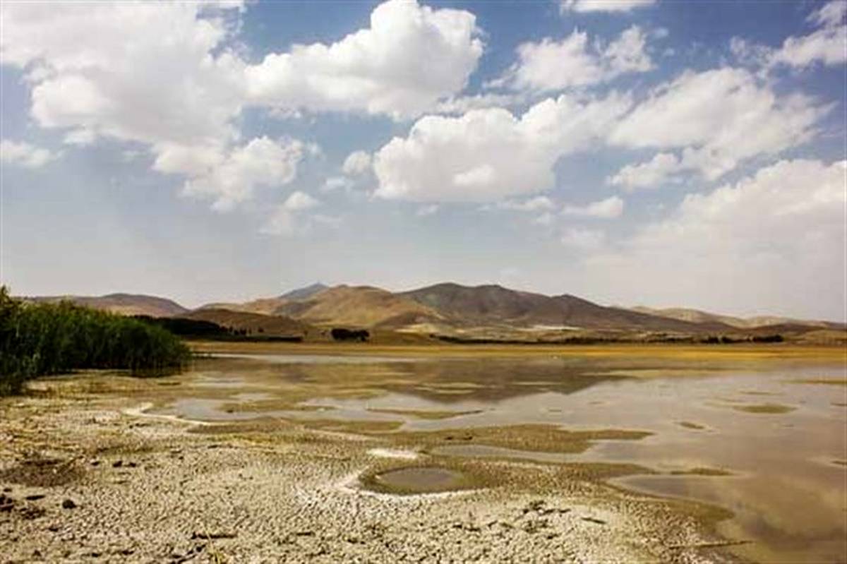 انحراف آب هیرمند برای دومین سال متوالی؛ تالاب هامون مساله ملی است