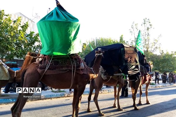 کاروان نمادین اسرای کربلا در روستای باقرآباد قم
