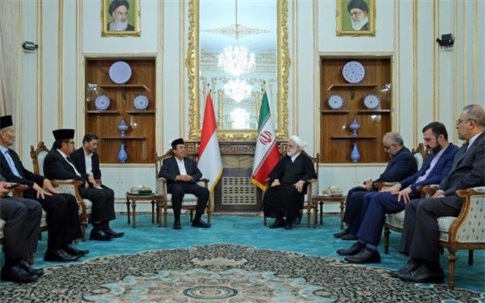 تاکید رئیس دستگاه قضا بر ضرورت توسعه دیپلماسی قضایی میان ایران و اندونزی