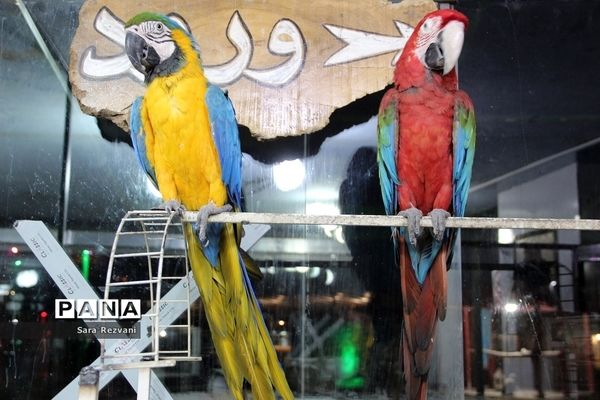باغ پرندگان شهر مشهد