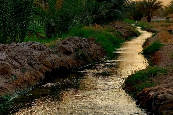 در مسیر بهشت، از مرز تا نجف