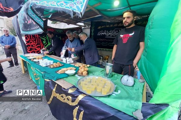 پیاده‌روی جاماندگان اربعین در بلده