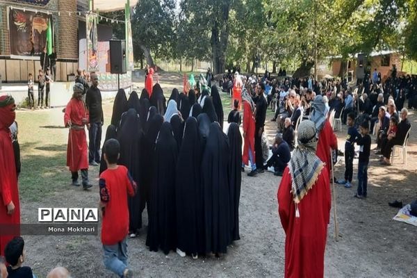 مراسم راهپیمایی جاماندگان اربعین در روستای دارابکلا میاندورود