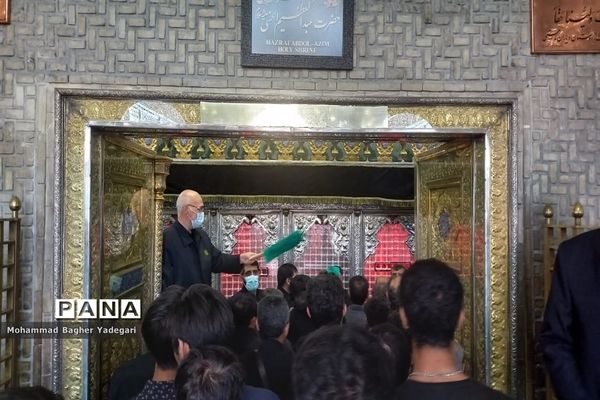 مراسم پیاده‌‌روی دلدادگان حسینی(ع) در تهران