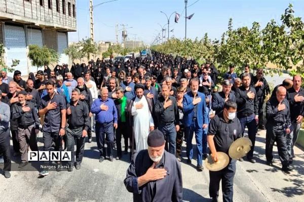 راهپیمایی اربعینی زائران سیدالشهدا(ع) در قم-3
