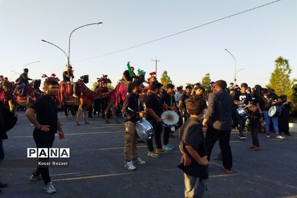 راهپیمایی اربعینی زائران سیدالشهدا(ع) در قم-3