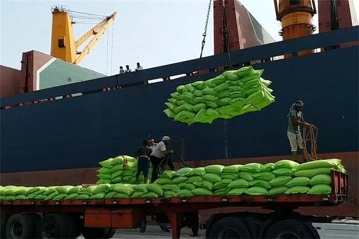 واردات ۱.۷ میلیون تن گندم در سال جاری