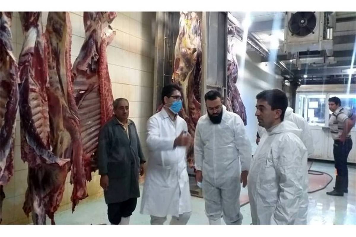 تولید سالانه حدود ۳۷ هزار تن گوشت دام سبک و سنگین در استان آذربایجان‌ شرقی