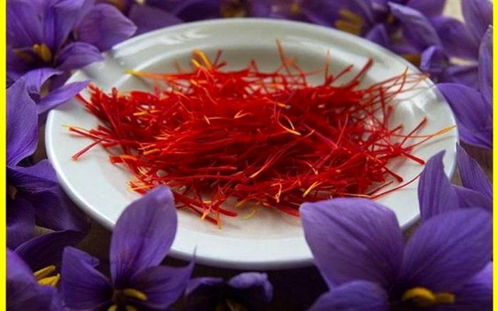 وزارت جهاد کشاورزی قیمت خرید زعفران را ۴۱ میلیون تومان اعلام کرد