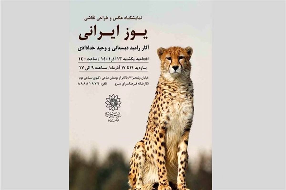 «یوز ایرانی» به نمایش درمی‌آید