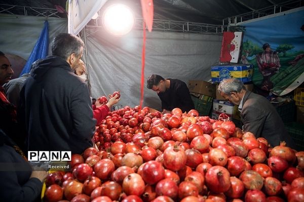 جشنواره «صد دانه یاقوت»