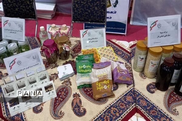 برگزاری نمایشگاه پژوهش و فناوری در البرز به‌مناسبت هفته پژوهش