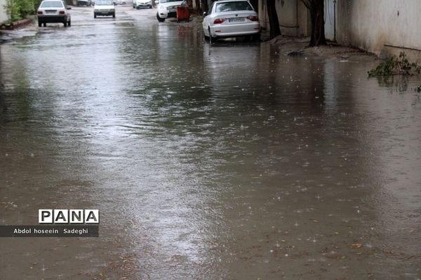 بارش باران و آبگرفتگی معابر در بوشهر